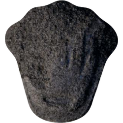 Grey Rolex ecstasy pill (XTC) — MDMA 99mg — Vienna, Austria