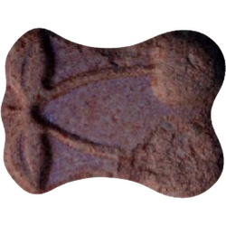 Piolla Cherry, Pacha Ibiza Nl