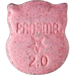 Pastilla Owl — 2