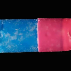 Blue Nasa_2cb pill — Lisdexamfetamine {'value': None, 'unit': None, 'isTraceAmount': False} — Zürich, Switzerland