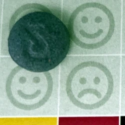 Blue TikTok ecstasy pill (XTC) — MDMA; Caffeine — New Zealand