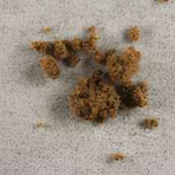 Delta-8-THC; THC; CBD-pille