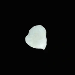 Χάπι Cocaine