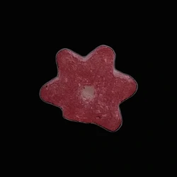 Estrella 6 Puntas