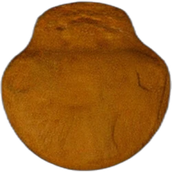 Brown Super Mario ecstasy pill (XTC) — MDMA — Switzerland
