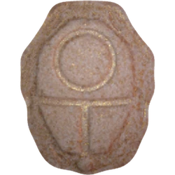 Orange Squid Game ecstasy pill (XTC) — MDMA 221mg — Vienna, Austria