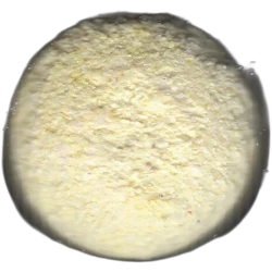 Yellow No Logo pill — 2C-B 11mg — Barcelona, Spain