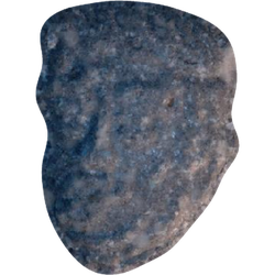 Grey Trump ecstasy pill (XTC) — MDMA 187mg — Vienna, Austria