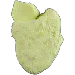 Yellow Trump ecstasy pill (XTC) — MDMA — Switzerland