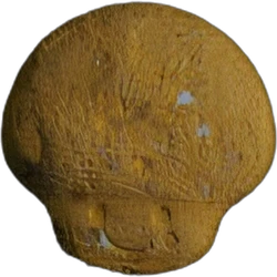 Pill Mushroom — MDMA — Switzerland
