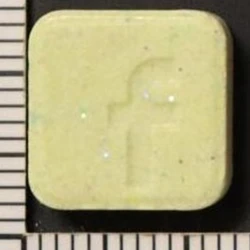 MDMA (229mg)
