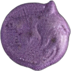 Pill Wolf — MDMA — Switzerland