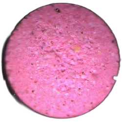 Pink No Logo pill — 2C-B 19mg — Madrid, Spain
