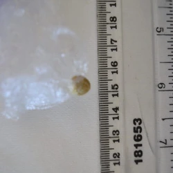 Brown Super Mario ecstasy pill (XTC) — CBD; CBN; THC; CBG — Hertsmere, Three Rivers, St Albans, Watford (WD25), England