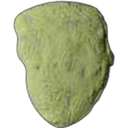 Grey Trump ecstasy pill (XTC) — MDMA — Switzerland