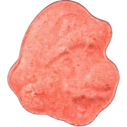 Pink Super Mario ecstasy pill (XTC) — MDMA 151mg — Zürich, Switzerland