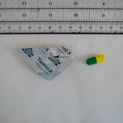 Green Tamol-X pill — Pregabalin — City of Edinburgh (EH8), Scotland