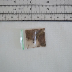 Brown Heroin pill — Acetylcodeine; Heroin; 6-MAM; Noscapine; Papaverine; Paracetamol — New Forest (SO40), England
