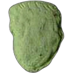 Grey Trump ecstasy pill (XTC) — MDMA — Switzerland