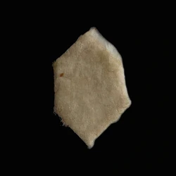 White No Logo pill — LSD 64µg — Marseille, France