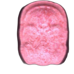 Pill Anonymous — MDMA 174mg — Madrid, Spain