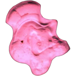Pink Donald Duck ecstasy pill (XTC) — MDMA 114mg — Barcelona, Spain