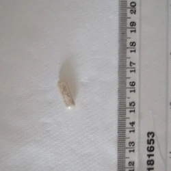 Brown MDMA ecstasy pill (XTC) — MDMA — Harrow, Hillingdon (HA4), England