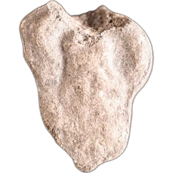 Pink Grim Reaper ecstasy pill (XTC) — MDMA 120mg; Unknown — Switzerland