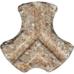 Brown Defqon.1 ecstasy pill (XTC) — MDMA 171mg — Barcelona, Spain