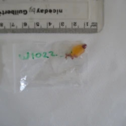 Yellow THC Gummies pill — Nicotine; THC — Cotswold, Stratford-on-Avon, Tewkesbury, Wychavon (WR11), England