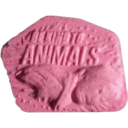 Pink Be Kind To Animals ecstasy pill (XTC) — MDMA 208mg — Luzern, Switzerland