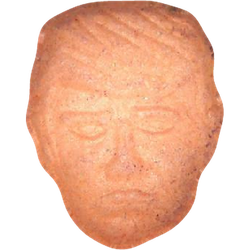 Orange Trump ecstasy pill (XTC) — PMMA 38mg — Vienna, Austria