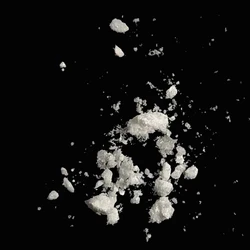 Cocaine (50.2%); Procaine (27.1%); Caffeine (5.3%); Norcocaine (0.7%)
