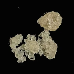 Procaine (94.7%)