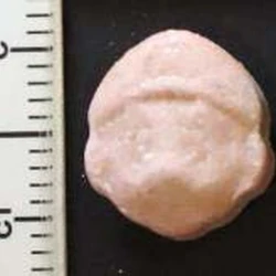 MDMA (190mg)