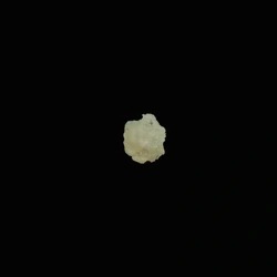 4-CMC (91.1%)