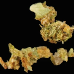 CBDA (11.4%); Free CBD (1.4%); CBD (11.3%); Free THC (0.3%); THCA (0.8%); THC (1%); 5F-ADB