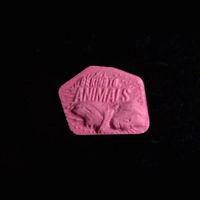 https://www.saferparty.ch/warnungen/be-kind-to-animals-mdma-194-1611