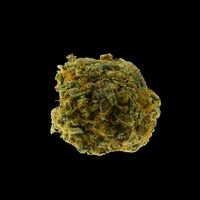 https://www.saferparty.ch/warnungen/cannabis-mit-synthetischen-cannabinoiden-2644