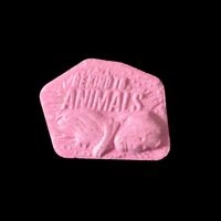 https://www.saferparty.ch/warnungen/be-kind-to-animals-mdma-2-070225