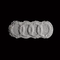 https://www.saferparty.ch/warnungen/audi-rs-mdma-z5215