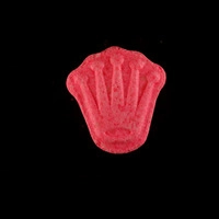 https://www.saferparty.ch/warnungen/rolex-mdma-l2298