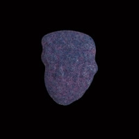 https://www.saferparty.ch/warnungen/donald-trump-mdma-z5288