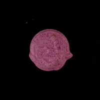https://www.saferparty.ch/warnungen/wolf-mdma-l2342