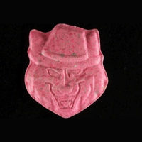 https://www.saferparty.ch/warnungen/raubkatze-mit-hut-mdma-25476