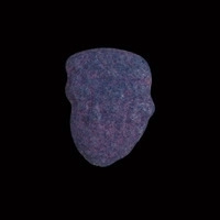 https://www.saferparty.ch/warnungen/donald-trump-mdma-z5288