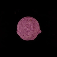 https://www.saferparty.ch/warnungen/wolf-mdma-l2342