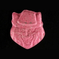 https://www.saferparty.ch/warnungen/raubkatze-mit-hut-mdma-25476