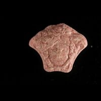 https://www.saferparty.ch/warnungen/versace-mdma-25563