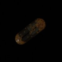 https://drugchecking.berlin/aktuelle-warnungen